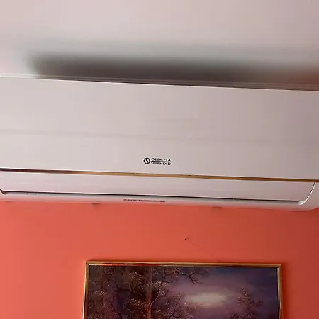 Ili Vendeghaz *